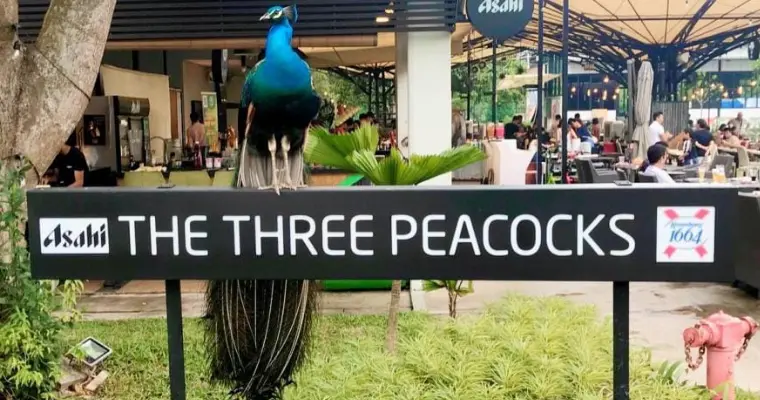 The Three Peacocks Buffet | Review | Menu Prices |
